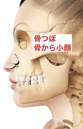 【３０人限定】骨つぼ小顔ヘッドスパ 