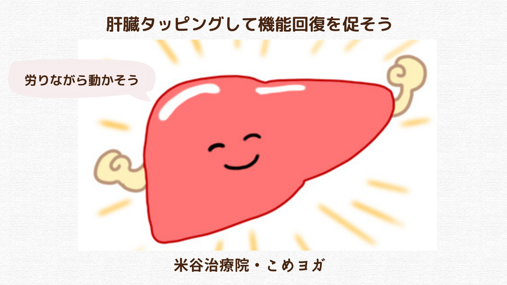 肝臓タッピングして機能回復を促そう