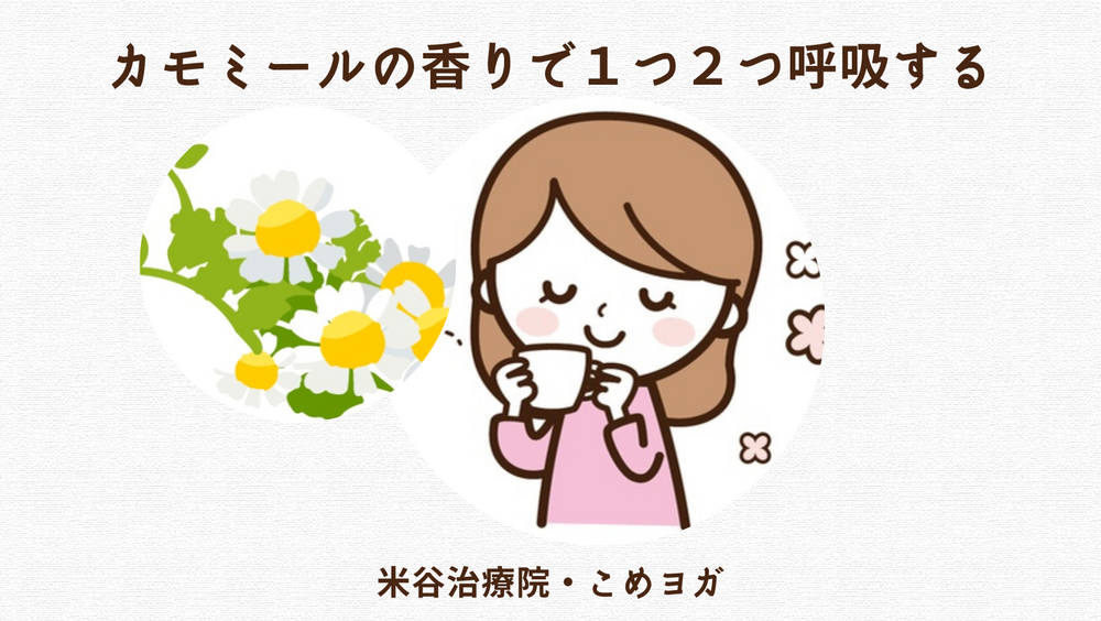 カモミールの香りで１つ２つ呼吸する