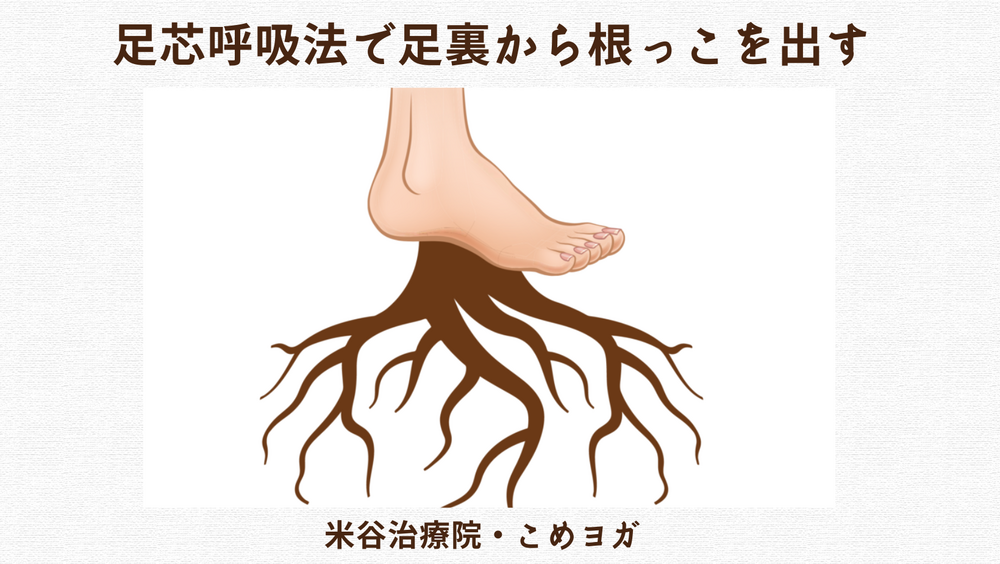 足芯呼吸法で足裏から根っこを出す